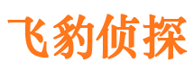 察雅寻人公司